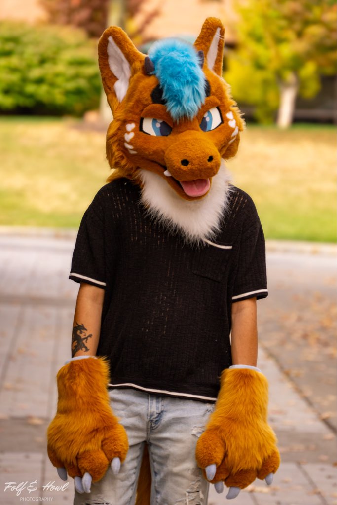 Bailey 👑🐉 tweet media