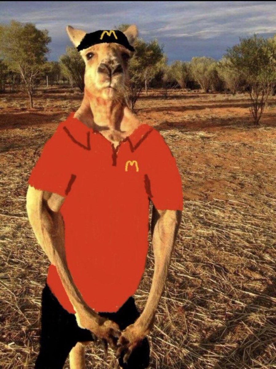 RogerCoinOnSol's tweet image. Big liquidation day? Don’t panic. McDonald’s applications are open 24/7.