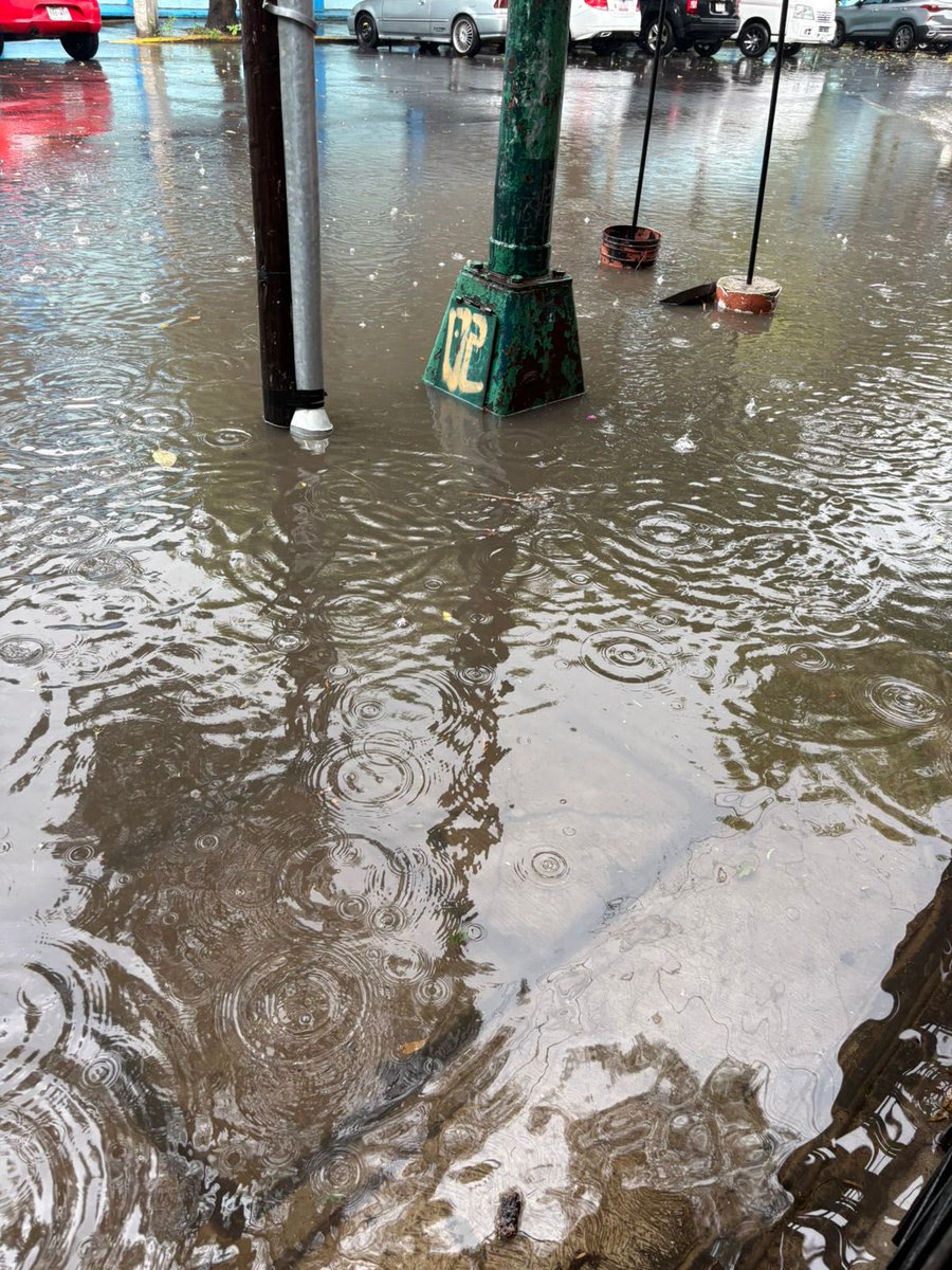 LauFrey's tweet photo. @Alcaldia_Coy 🚨🚨🚨llevamos año y medio pidiendo desazolve y HOY volvió a colapsar el #drenaje.Pallares y Portillo, América en Barrio San Lucas @Barrio_SanLucas  #Coyoacan 
Agua ya dentro de casas! @Reforma @lajornadaonline @diariobasta @Reporte_Indigo https://t.co/9M3oEuAcHg