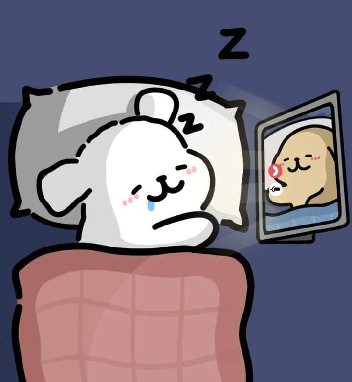 cutedreamvibes's tweet image. 
