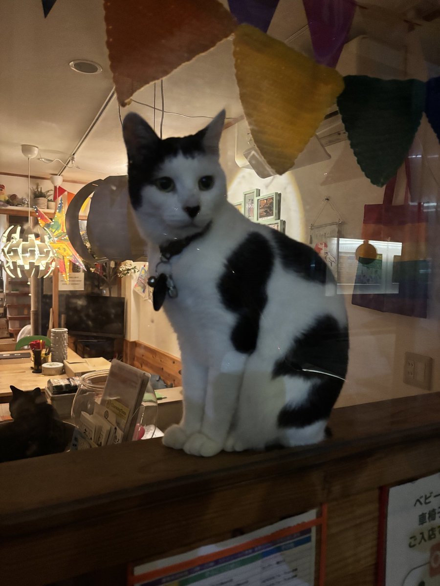 今日はこちらへ<a href="/tabekata310/">NPO法人食べて語ろう会</a> 
#食べて語ろう会 #ばっちゃん

#そらにじひめじ はお休みです！