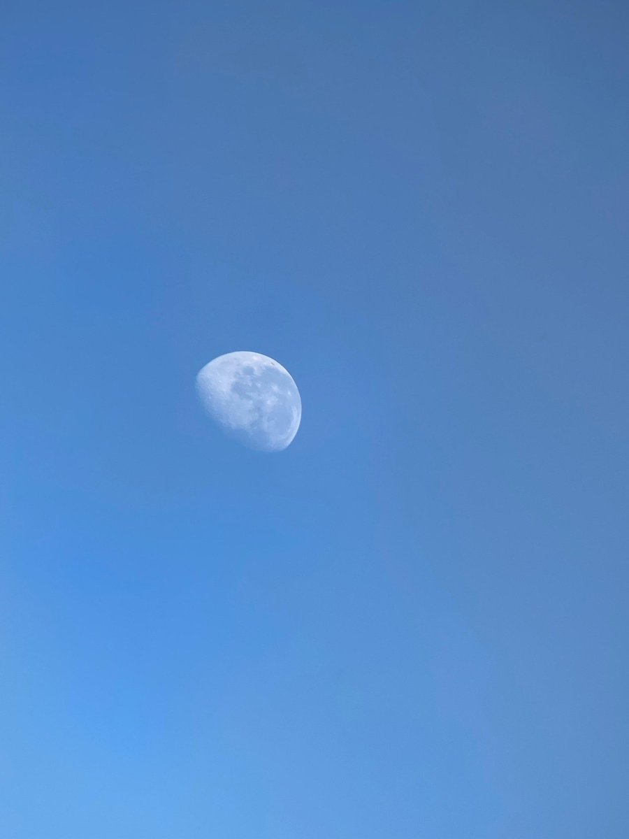nefele☁️ tweet media