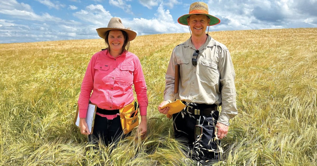 theGRDC's tweet image. 🌾 Weeds impacting your yield? Fight back with #CropCompetition.
New research from Dr Michael Widderick shows how smarter seeding rates & row spacing can boost #WeedControl & yield:
🌱 Narrower rows cut weed growth by up to 44% in sorghum
🌱 Tighter #mungbean crops ↑ yield by…