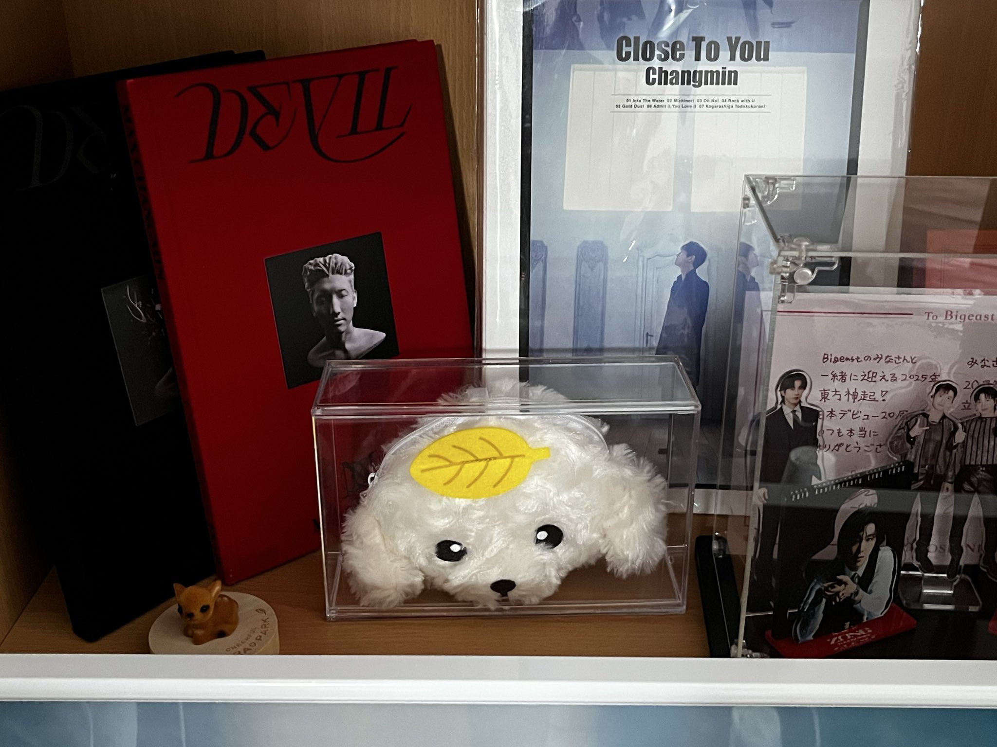 東方神起 チャンミン ポッチポーチ 東方神起 チャンミン ソロコン