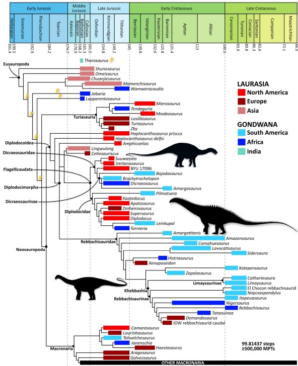 Paleojim's tweet image. Great new paper by Mannion &amp;amp; Moore 2025 on diplodocoid sauropods for #FossilFriday I love their latest phylogeny as it certainly supports the mass extinction of sauropods at the end of the Jurassic that is so well documented in eastern Utah. tandfonline.com/doi/epdf/10.10…