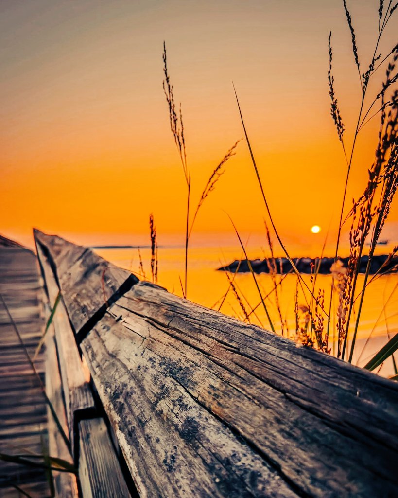 𝐌𝐫.𝐑𝐚𝐣 𝐌𝐨𝐭𝐢𝐯𝐚𝐭𝐢𝐨𝐧𝐚𝐥 𝐄𝐱𝐩𝐞𝐫𝐭 tweet media