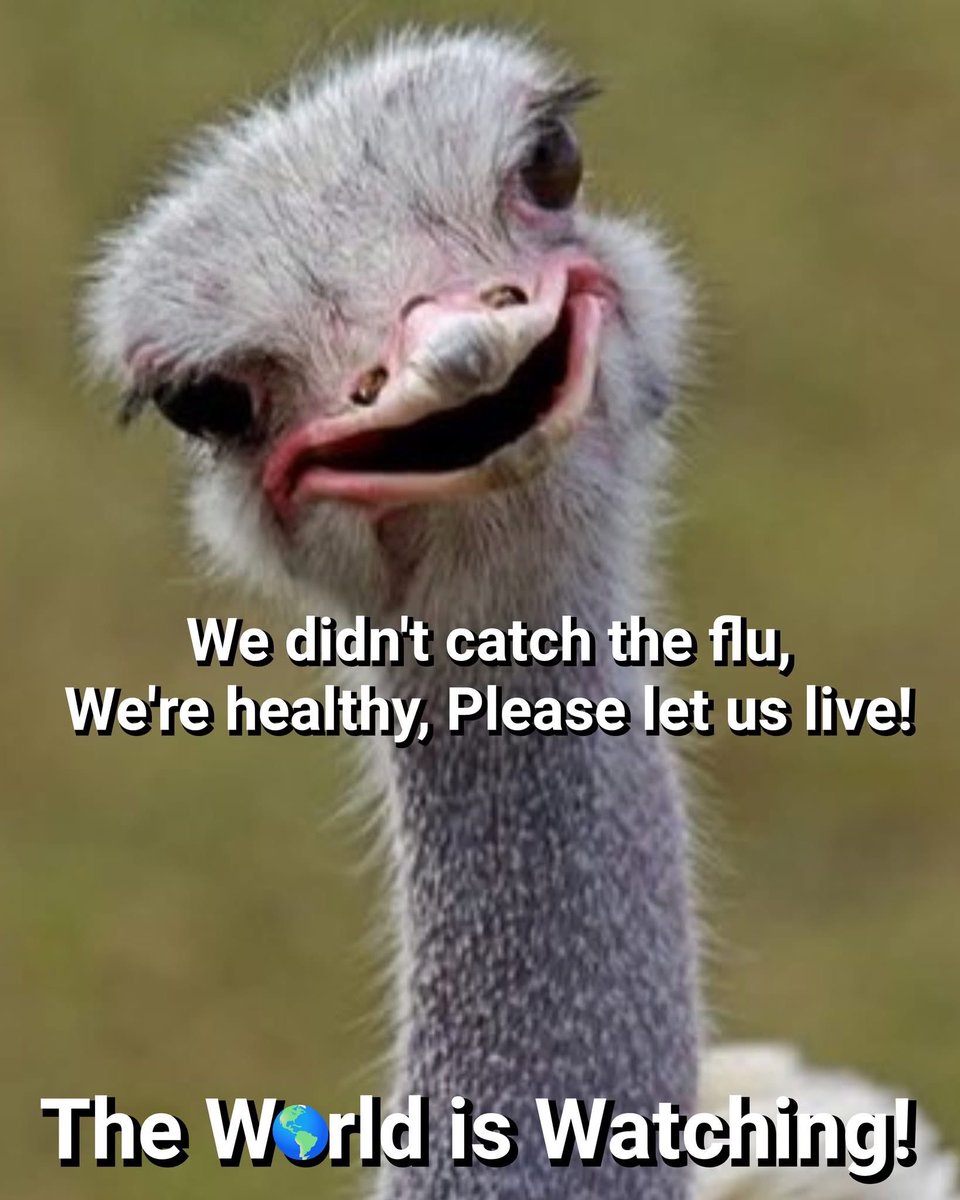 Sassygal (@sassygal1971) on Twitter photo 