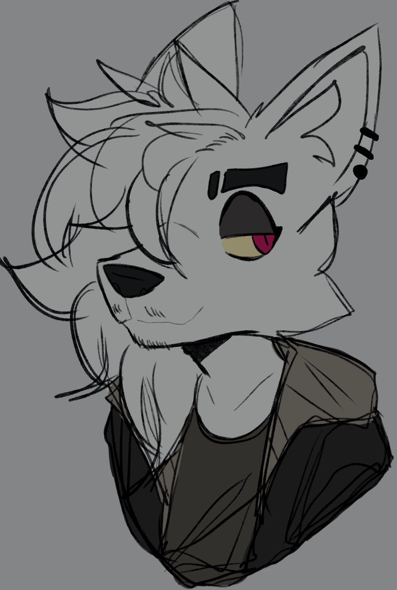 New design for Leo
