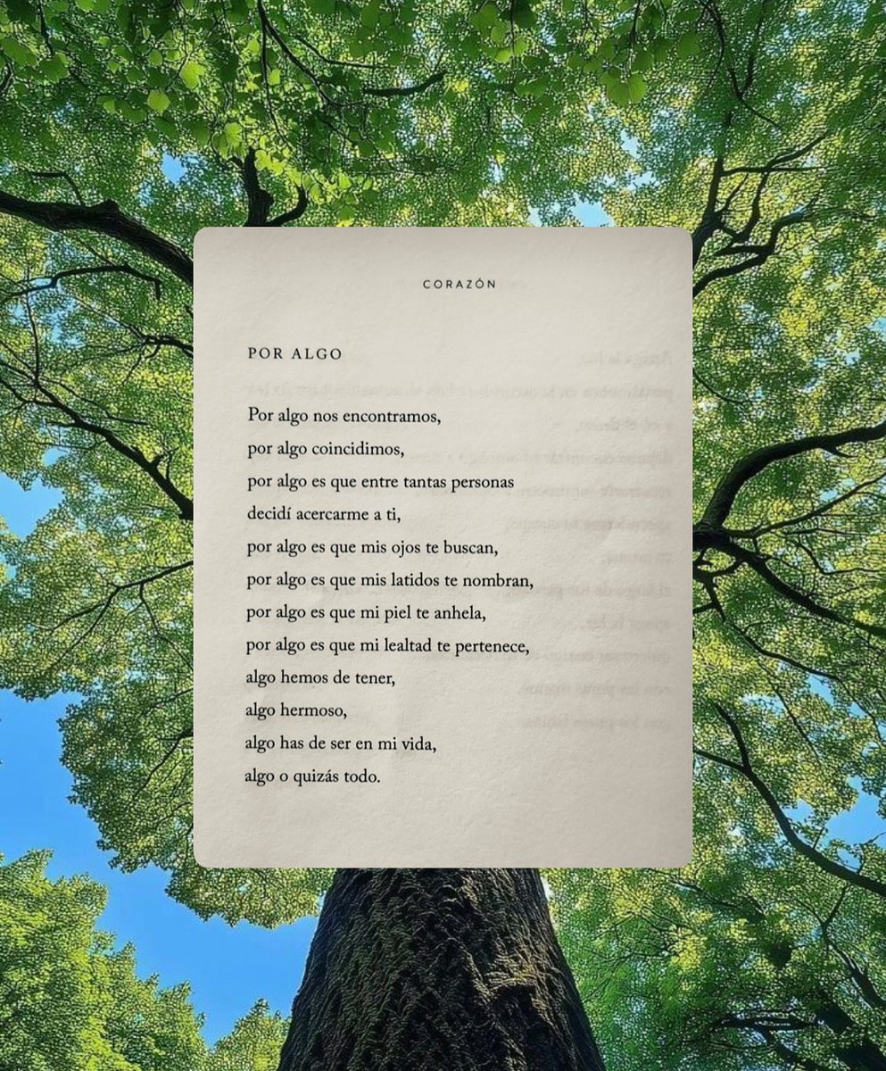 Cementedelibros's tweet photo. Las coincidencias no existen….
¿Y si cada persona que conocemos es una respuesta a una pregunta que todavía no sabíamos que estábamos haciendo? 🤔
Este poema es de Andres Ixtepan 
#cementeriodelibros https://t.co/WwI7Txde8z