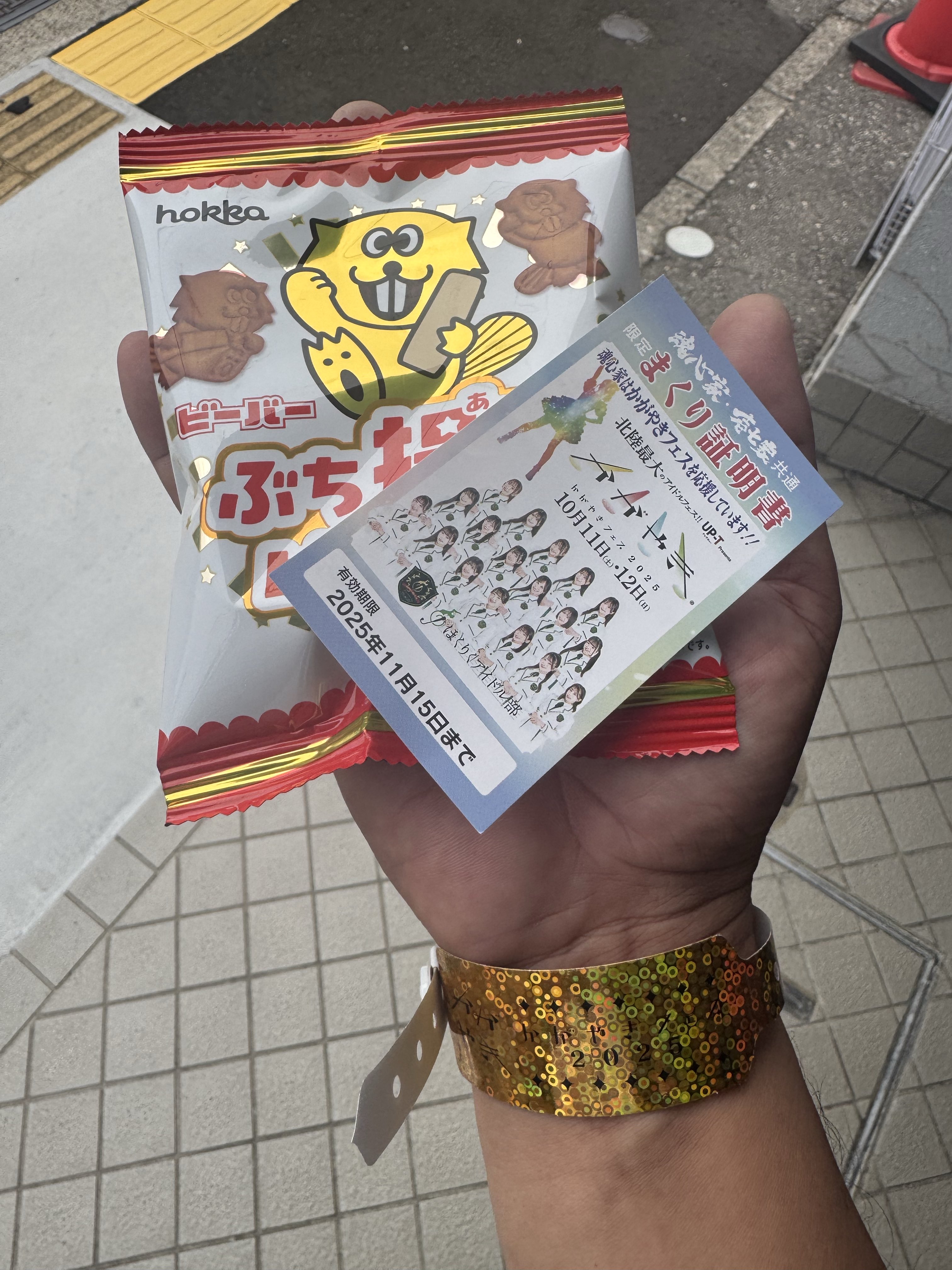 鳩ぽっぽ🕊️🐈🐈‍⬛ on X: 