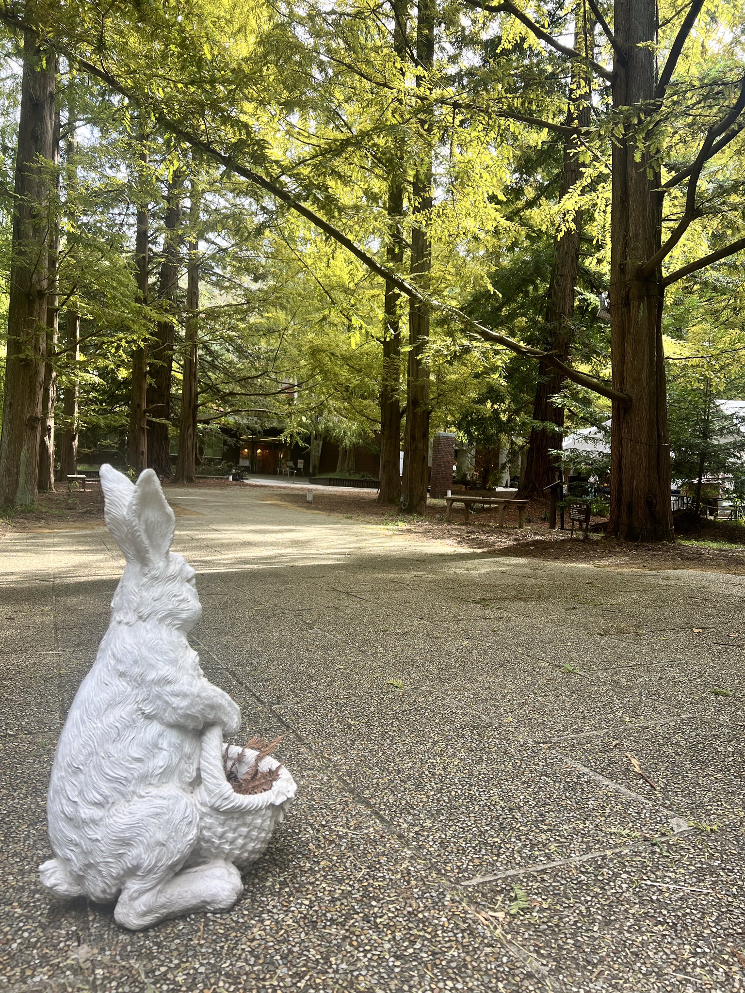 神苑梅林 梅宮大社神苑 ― 京都市右京区の庭園。 | 庭園情報メディア【おに