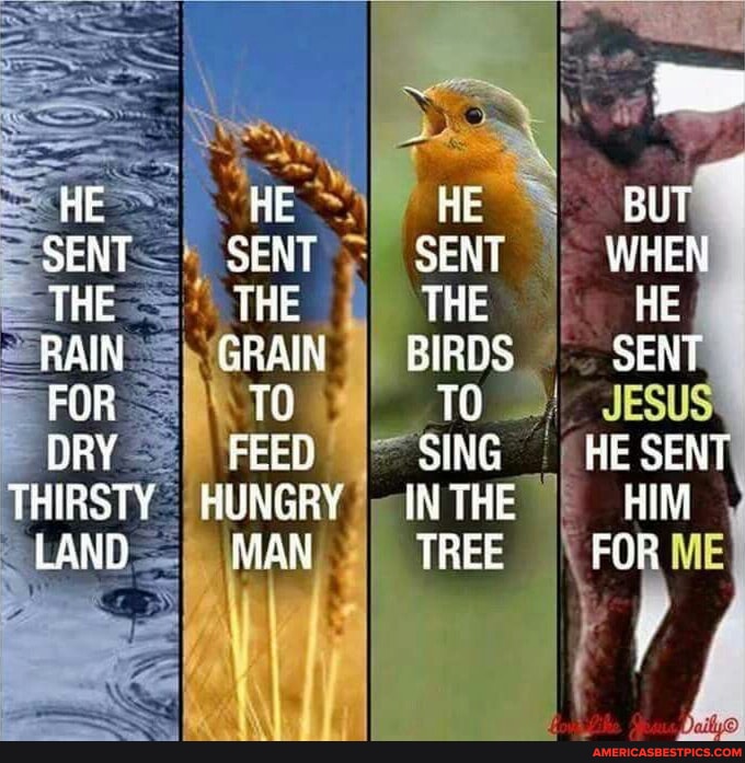 DotyStephan's tweet image. #sent #rain #grain 
americasbestpics.com/picture/8QEZ1h…
#AmericasBestPicsAndVideos