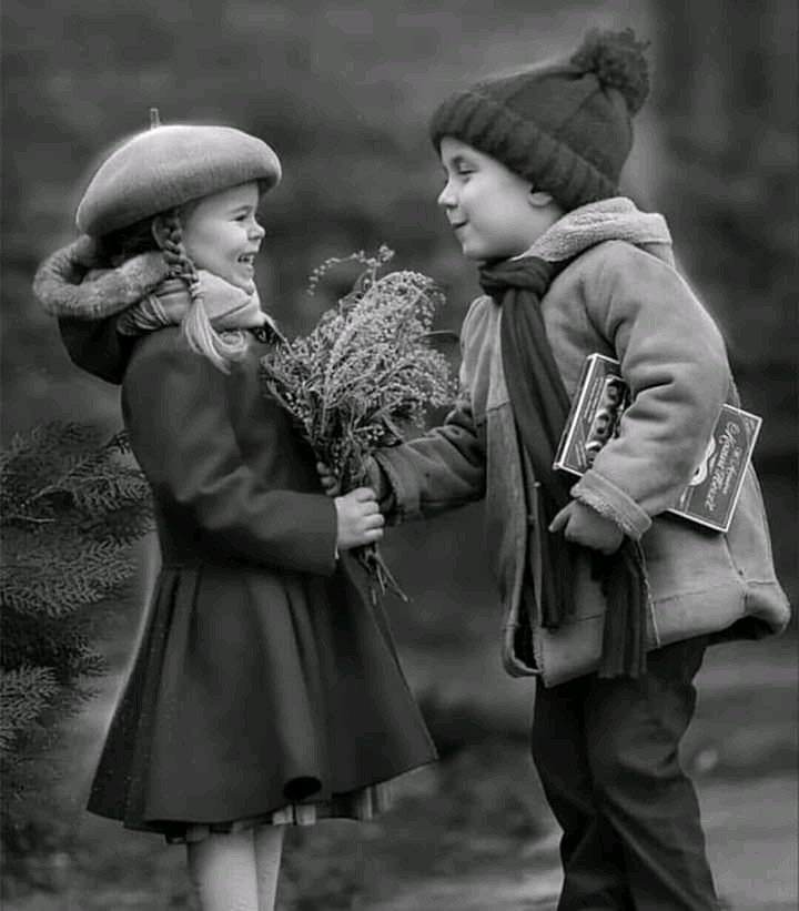 ﻧــجـ𓅓ــم🇾🇪الـــيـمــ𓅓ــن tweet media