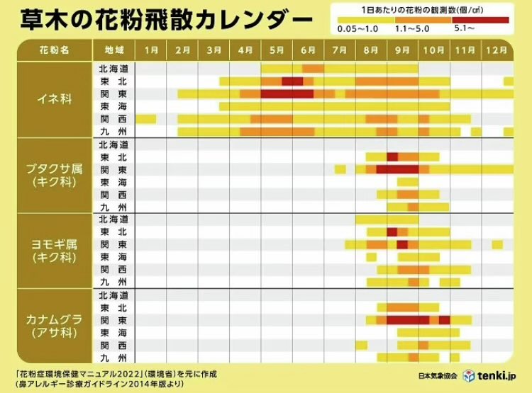 skygame_ran's tweet image. 関東、秋の花粉多すぎ、🆘