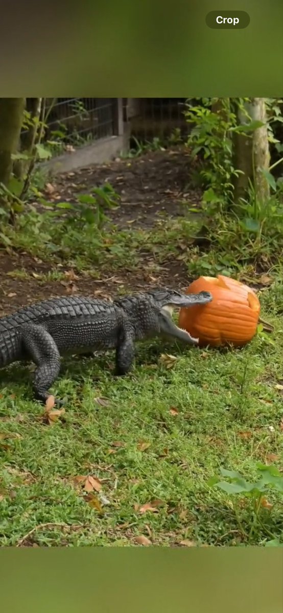 Tomorrow‼️‼️‼️