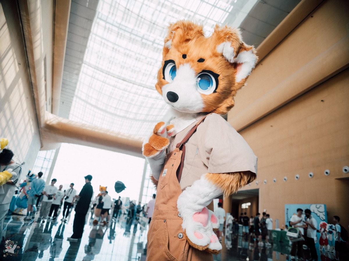 DreameoL85783's tweet image. 早安☀️
📸：@llingtu