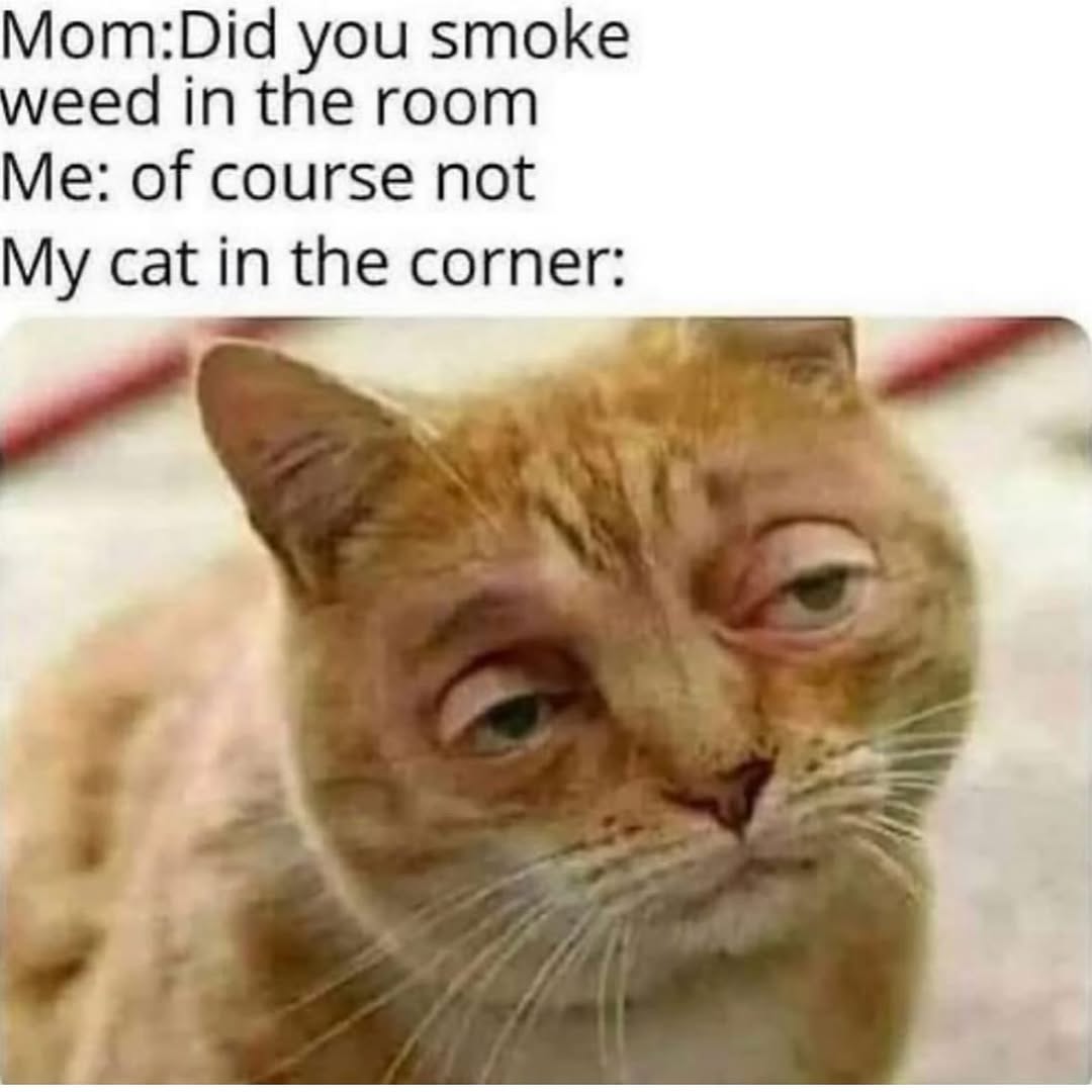 🤣🤣🤣🤣🤣🤣🤣🤣🤣