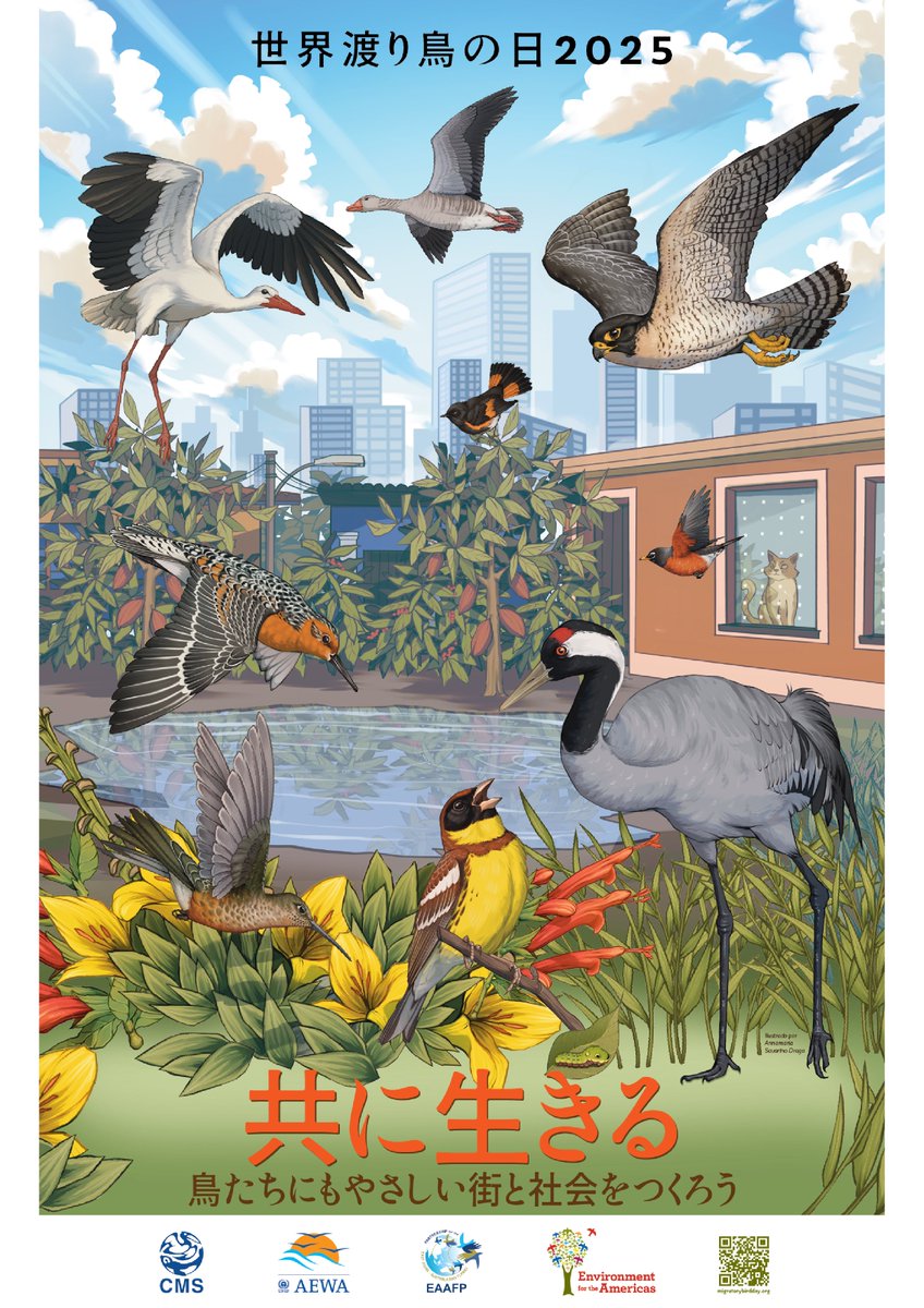 みんな鳥になって パンフレット 今日は #世界渡り鳥の日 。渡り鳥とその生息地を世界規模で保全して