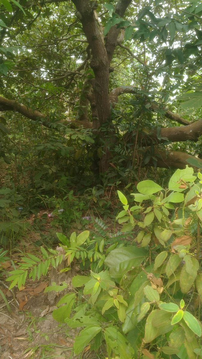 😋💧💦💧ធម្មតាៗទេ😋❤️️💧💦💧យូៗបានមួយ