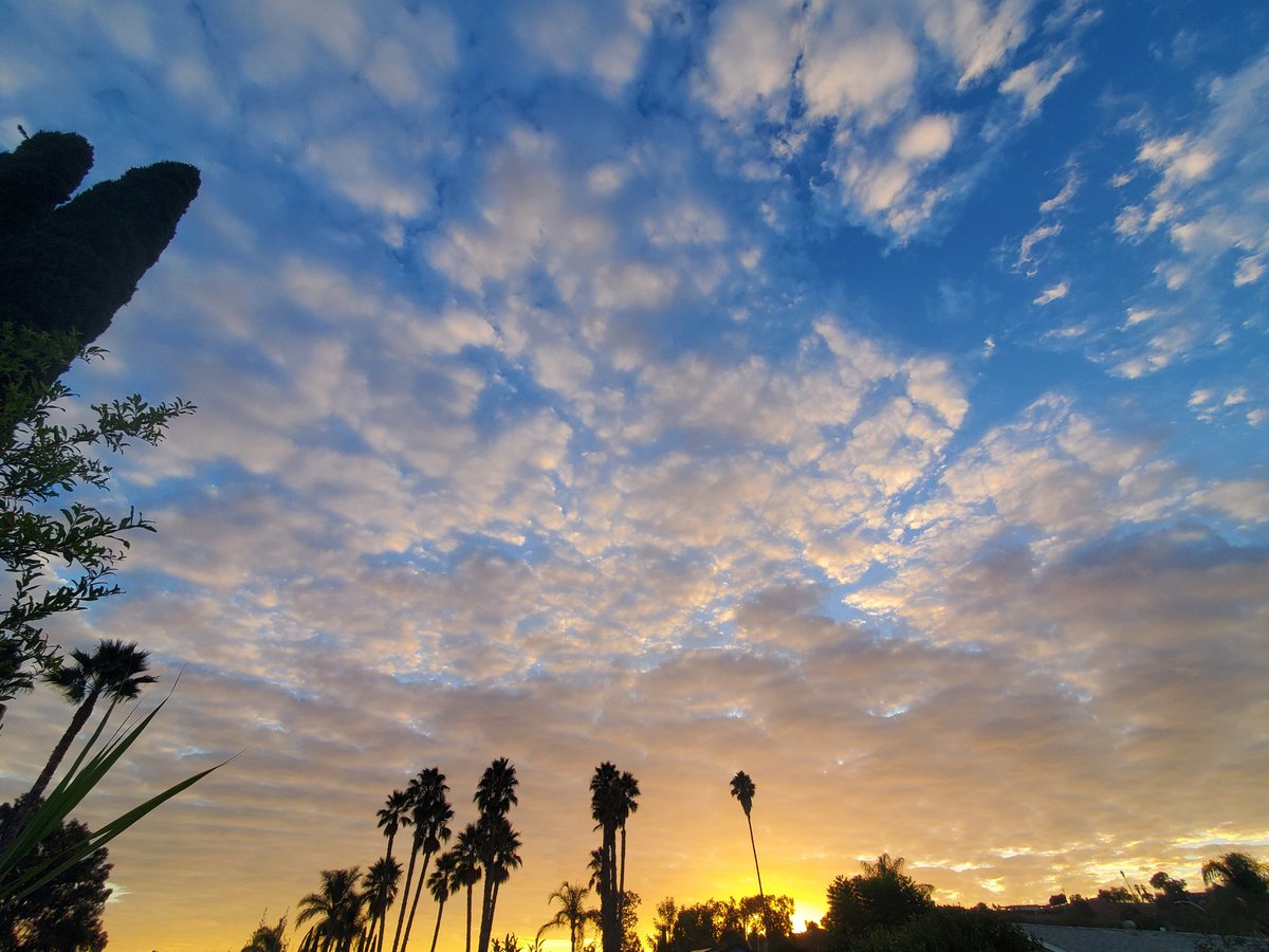 seanpeer3's tweet image. It&apos;s only going to get better. Get out get out, and check it out.!