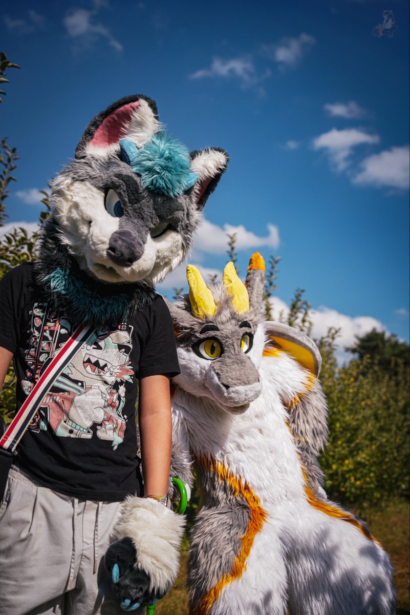 biteyrix's tweet image. Gimme ur lunch money

📸 fletchel (bluesky)
#FursuitFriday