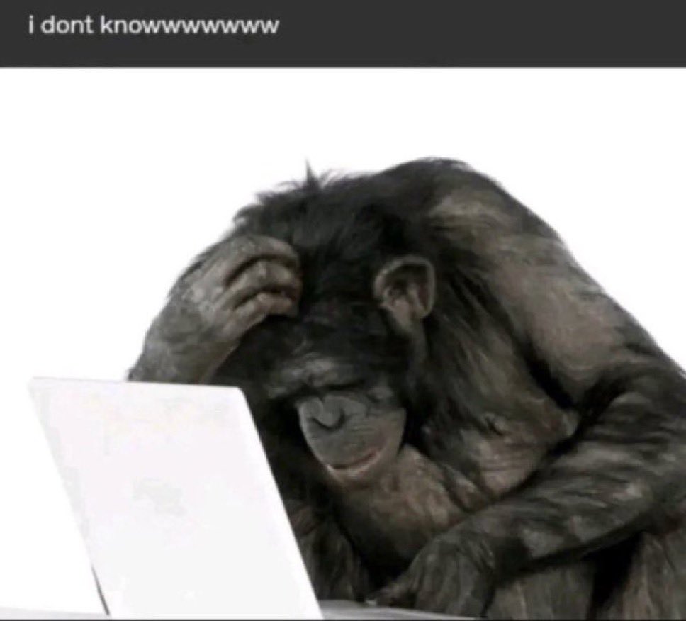 bonsaiberrii's tweet image. no matter how much i think i understand the programming lecture, opening up my python assignment will have me like this for the next 48hrs