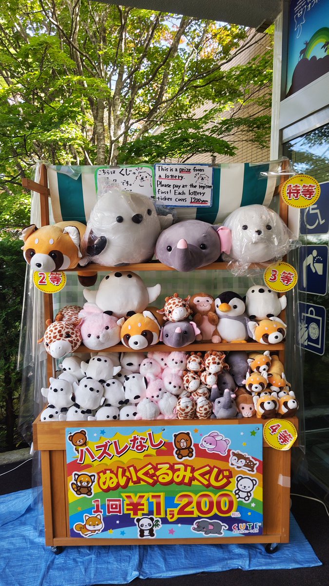 お待たせしました！ #シマエナガくじ 入荷しております😊 三連休は外で