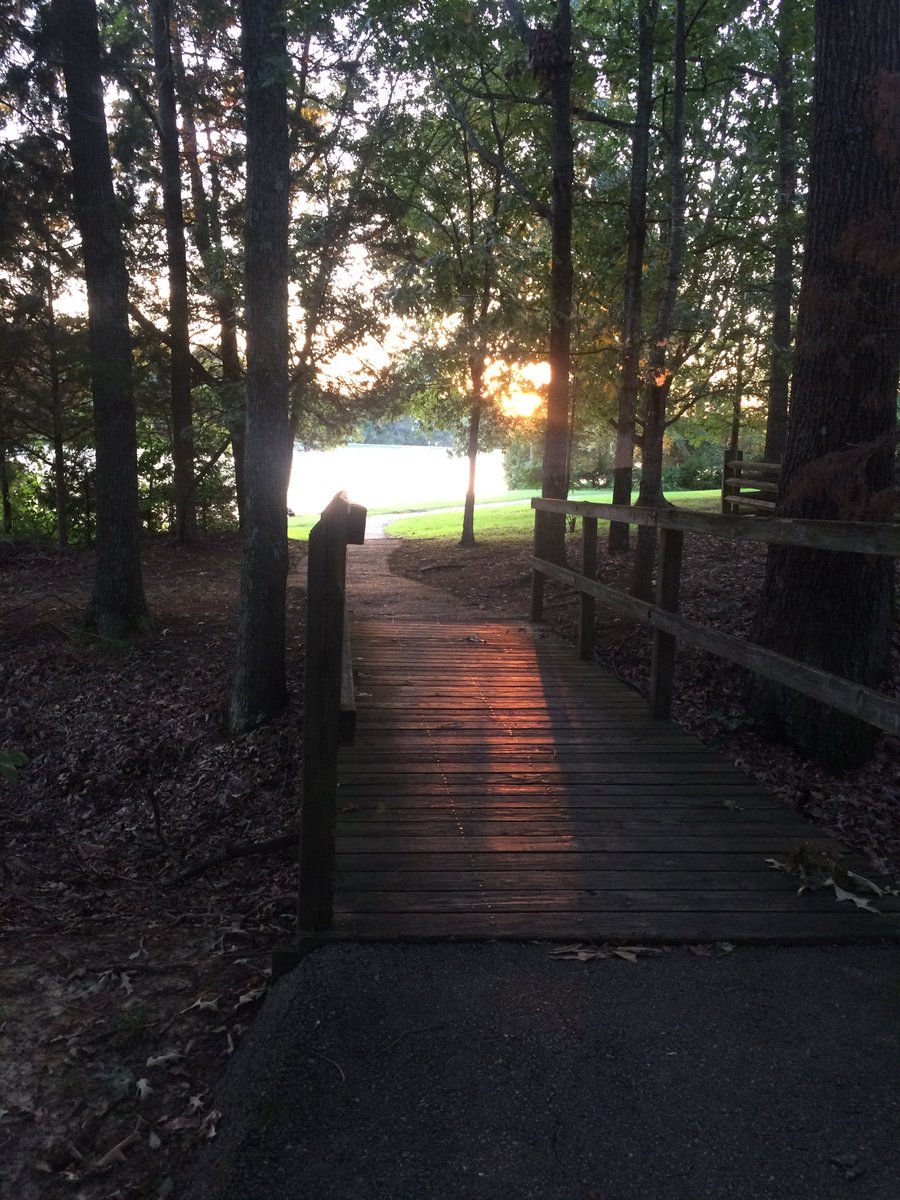 Lady Demosthenes tweet media