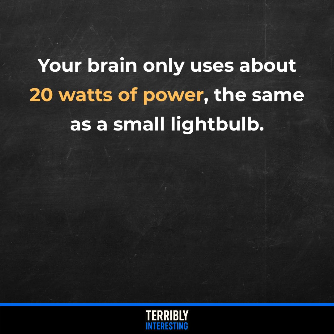 Your brain burns about 20 watts of energy, roughly the same as a small bulb, yet it runs 86 billion neurons nonstop. It makes up just 2% of your body weight but uses 20% of your energy, quietly powering every thought and movement.