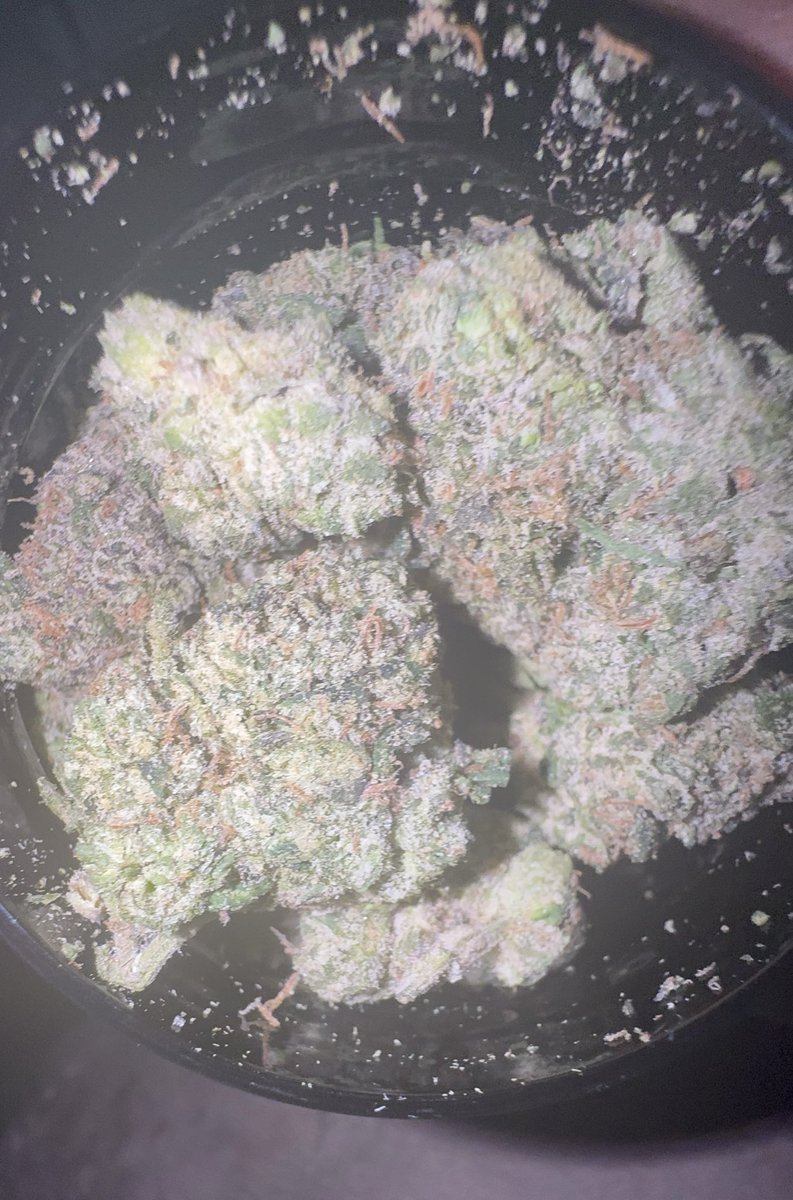 ͏ ͏  tweet media