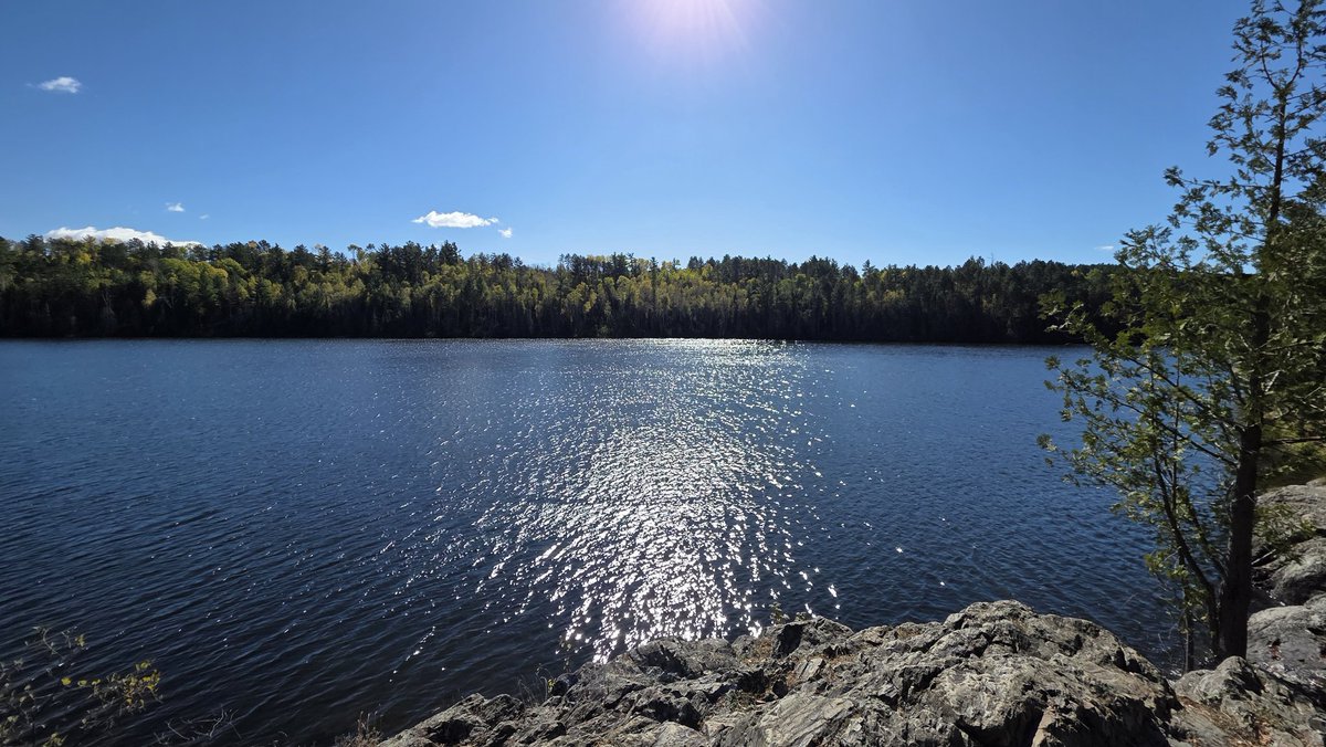 Had a great 7.5 mile fall hike today.