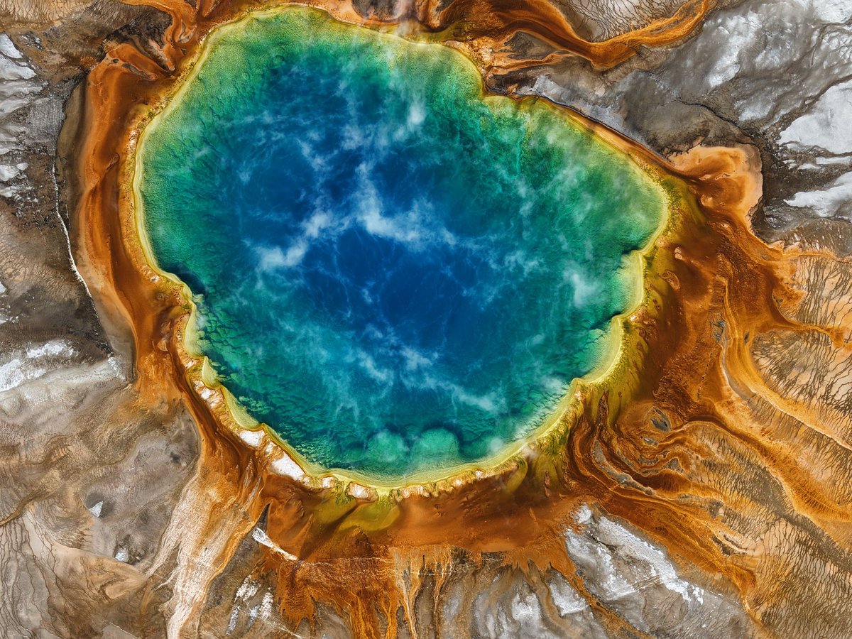 Michael Linn tweet media