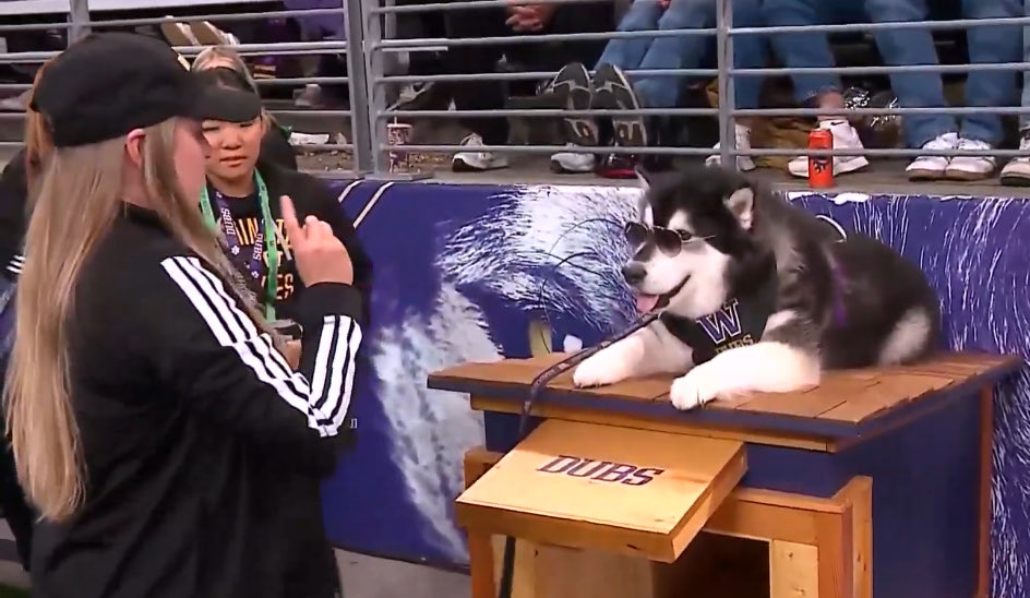 no context college football (@nocontextcfb) on Twitter photo 