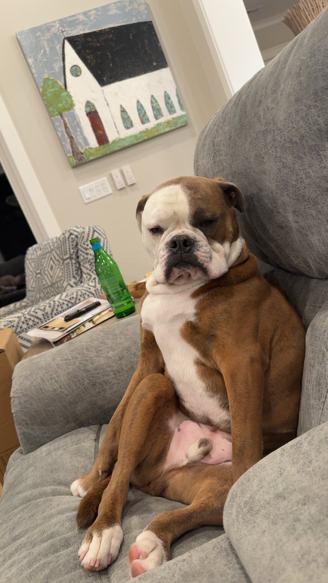 Ralphie really seems to enjoy watching postseason baseball with me