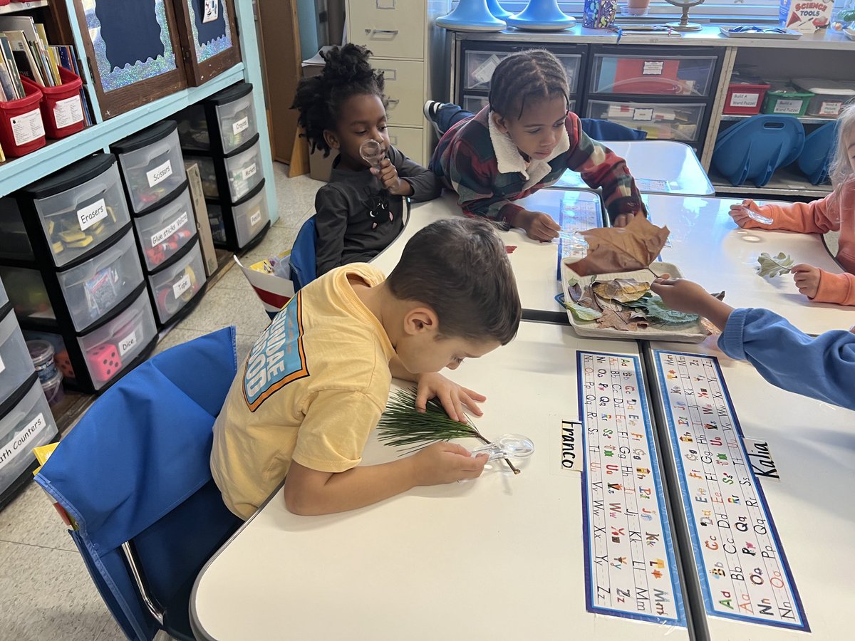 Emily Macias-Capellan tweet media