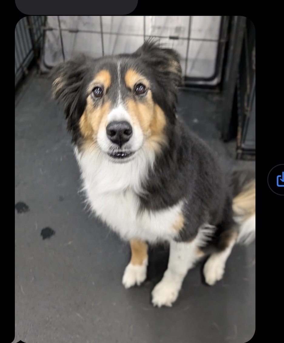 Greg Durham tweet media