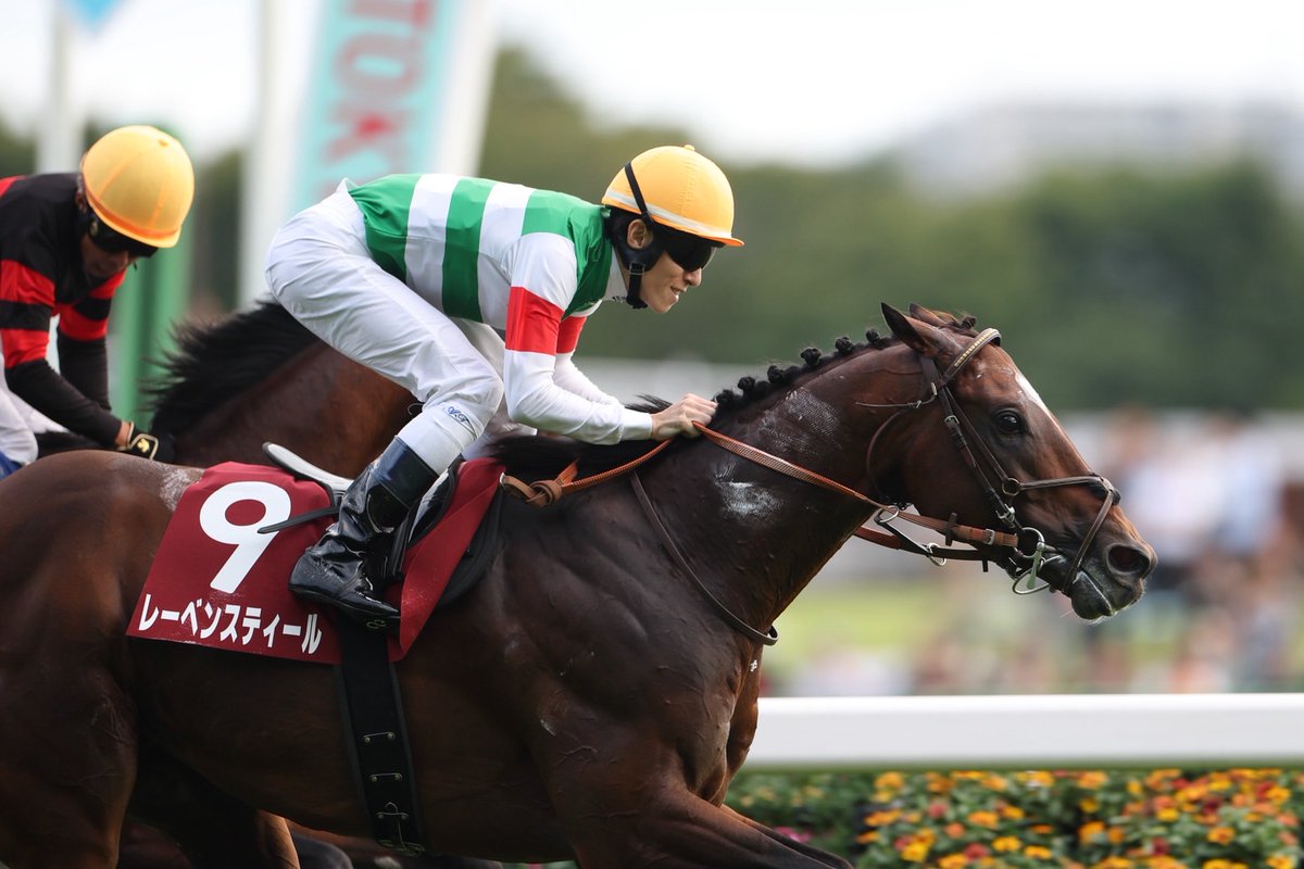 写真の関係から毎日王冠をまず取り上げます。関係者の皆様、おめでとうございます。また、多くの皆様からのお祝いのコメントありがとうございました。

・東京11R 毎日王冠
レーベンスティール　津村明秀騎手　1着