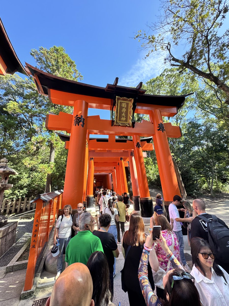 JJJSUI's tweet image. 還有人在說我叫人平倉讓他們踏空嗎？

你以為是踏空，其實是保命

現在信了嗎？