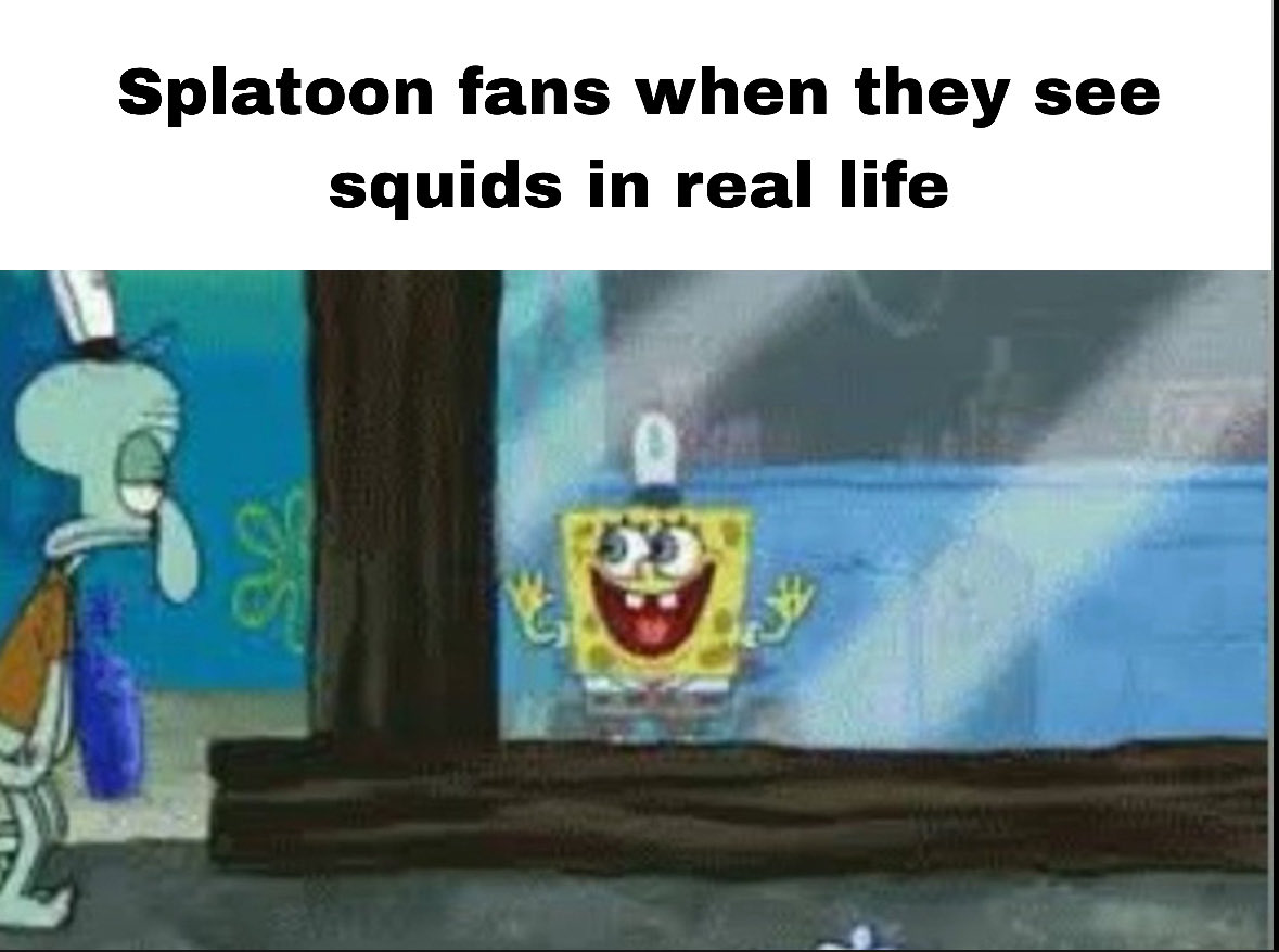 SwitchySh4rky's tweet photo. Happy squid day! 🦑🦑🦑 https://t.co/LFkXksmakC
