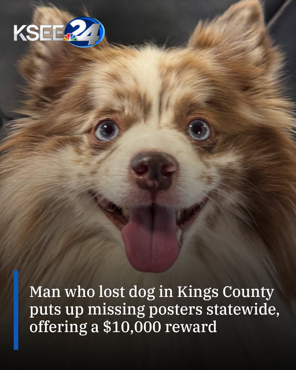 Cosmo the dog went missing in Avenal, and his owner has put up posters from the Bay Area to as far as Los Angeles, offering a $10,000 reward for his return.

MORE: yourcentralvalley.com/news/local-new…