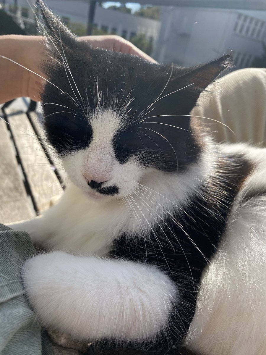 Bıyığını tam alamamış:)