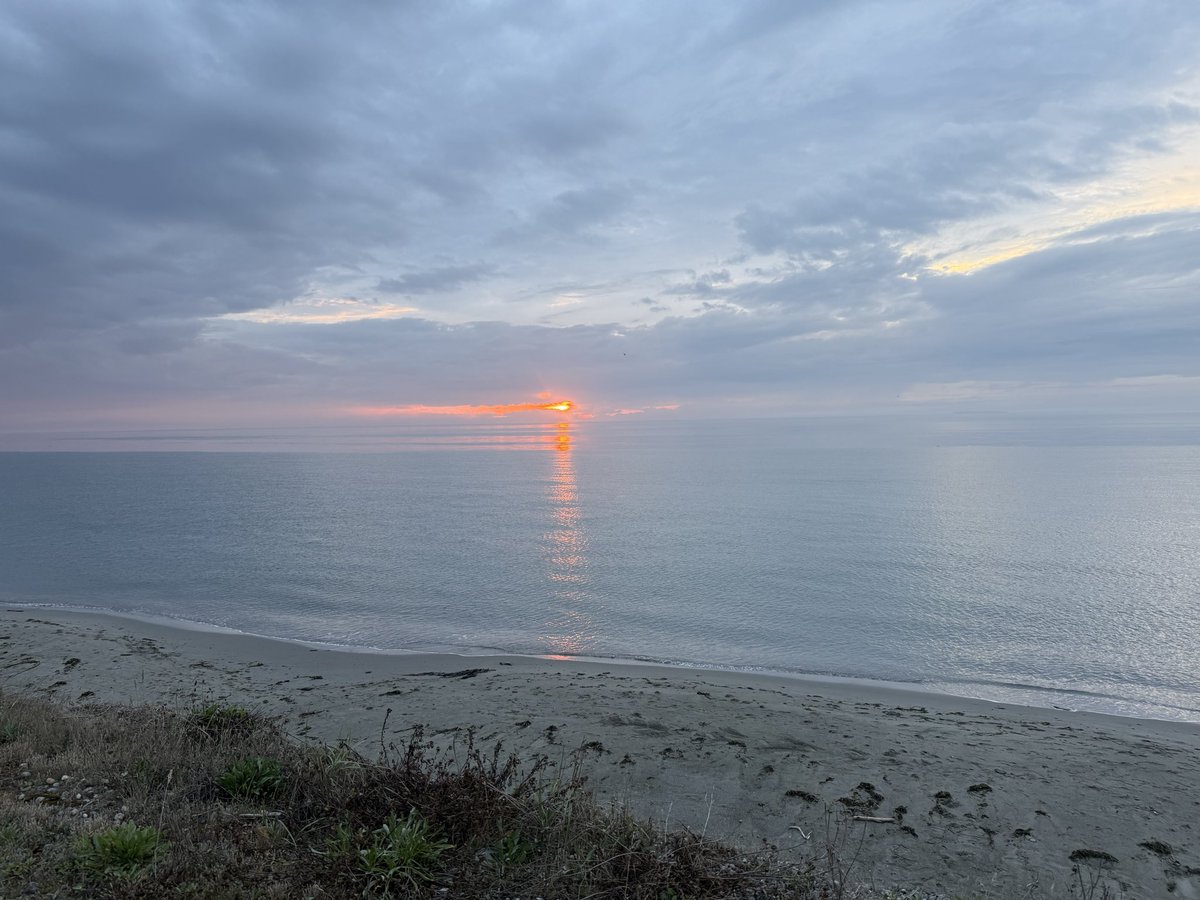 Jeffk4wc's tweet image. Good night y’all from beautiful whidbey island