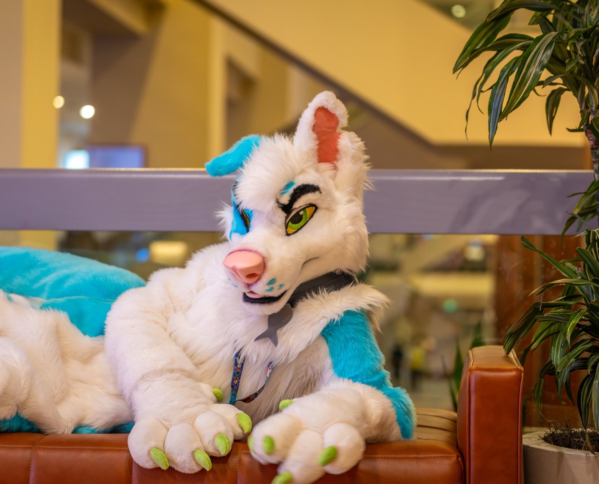 Dogs are allowed on the couch!

#FursuitFriday