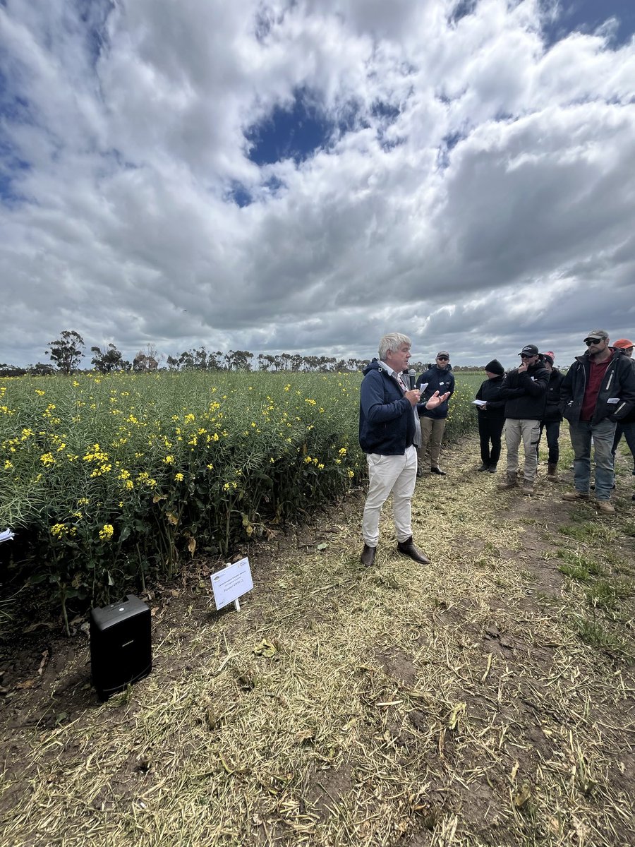 James Ferrier tweet media