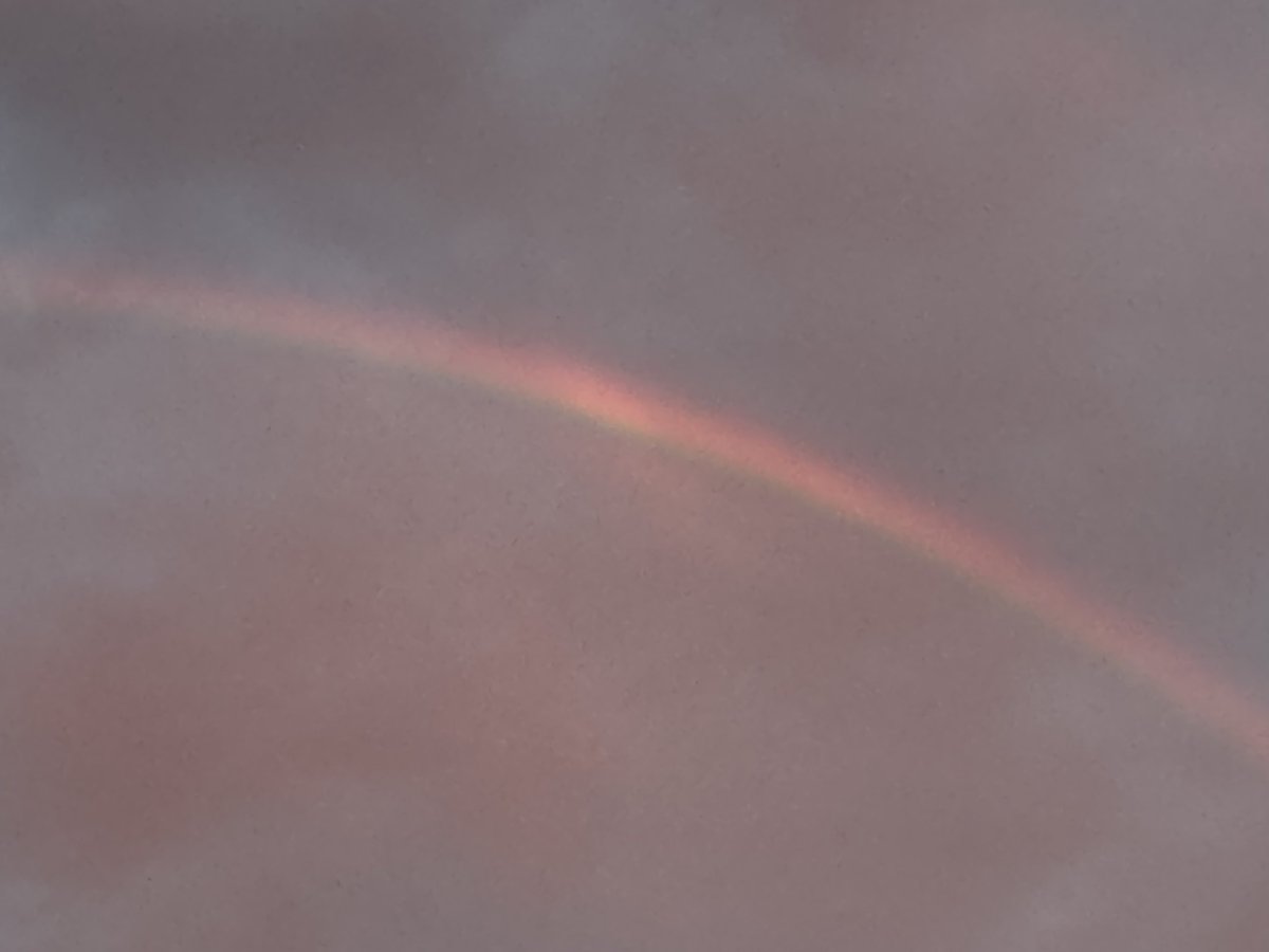 DriveWalkTransit tweet media