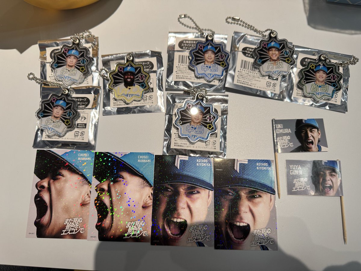 ファイターズ　ガチャ SUPER BEST DX Fourze Driver