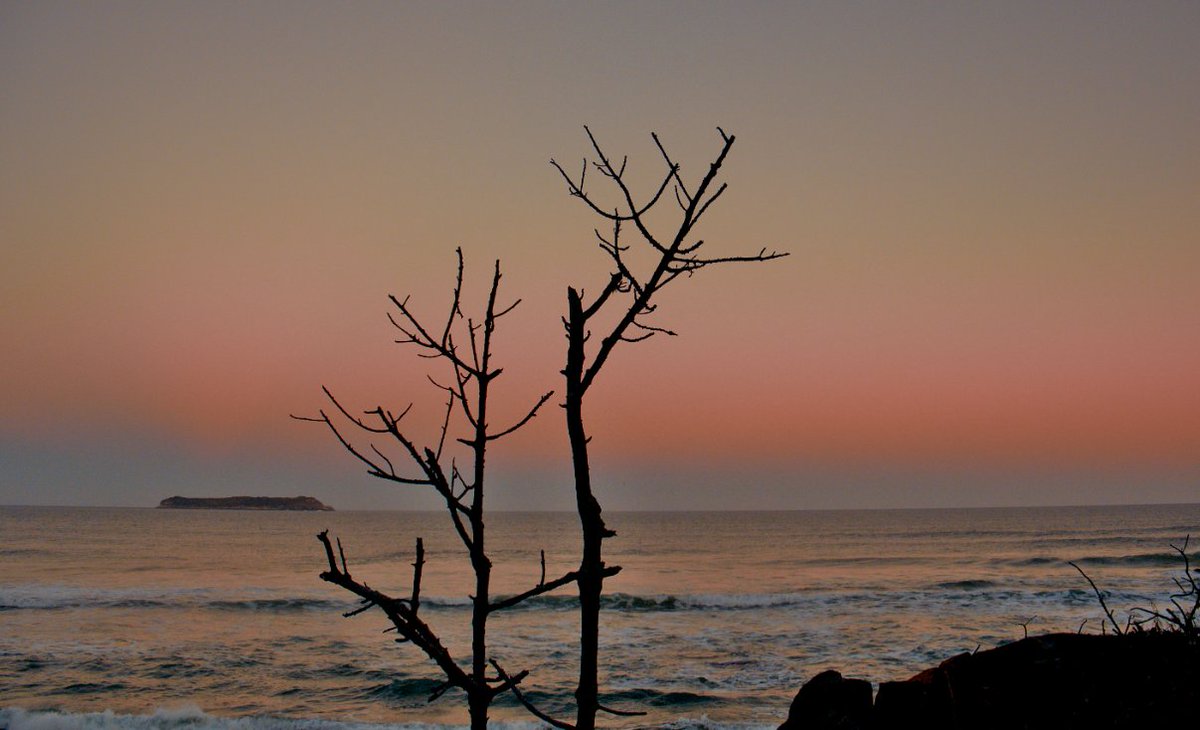 ArtvisionNFT's tweet image. The only love I know breathes in waves,  
soft as secrets told to the edge of the world.

The only love I know

objkt.com/tokens/KT1U64F…