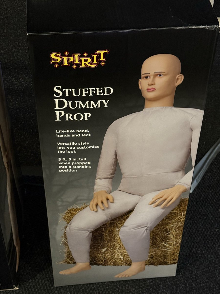 Found the perfect costume for my followers: