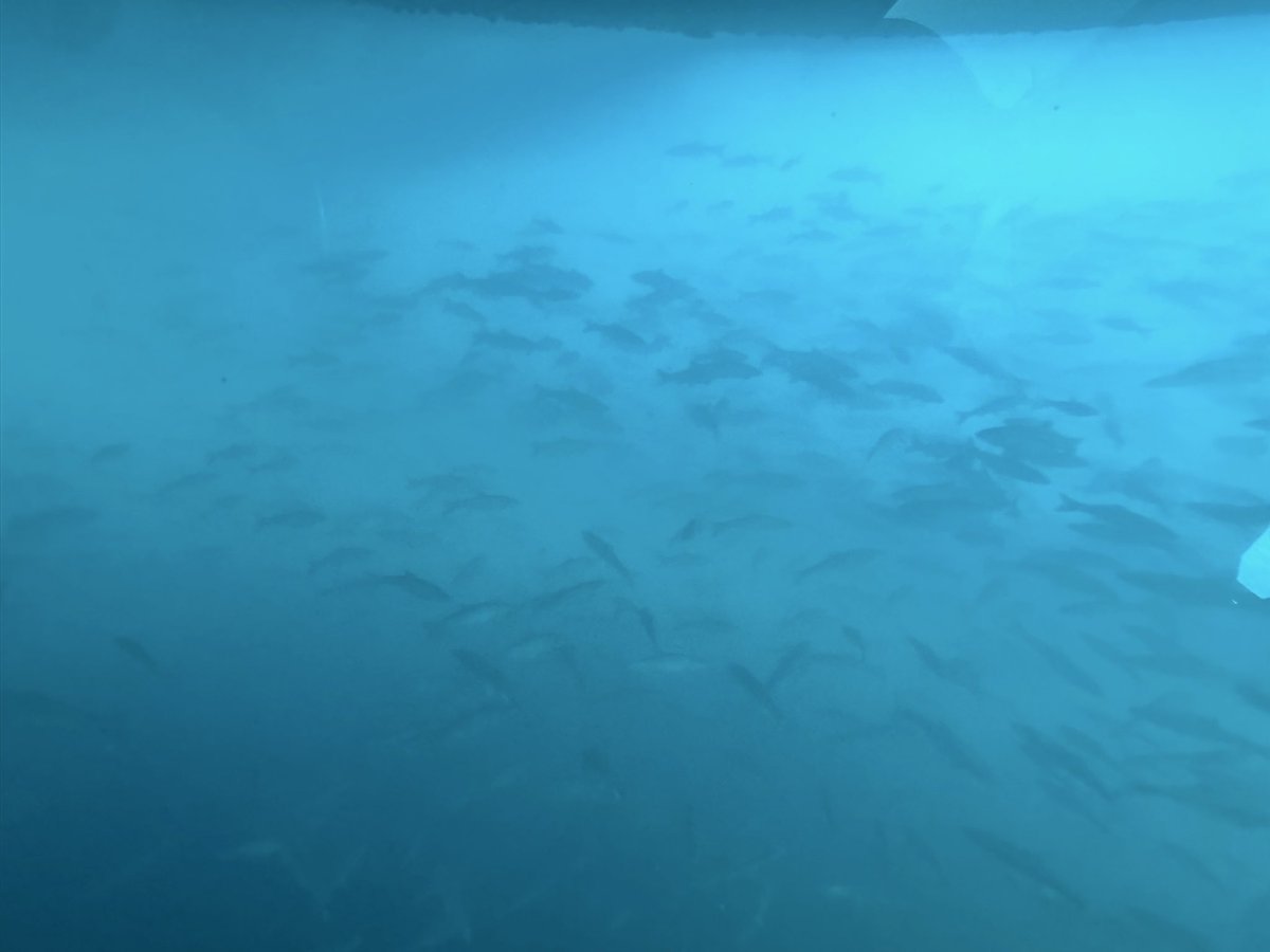 𝔹𝔸ℕ (@ban_zt) on Twitter photo 