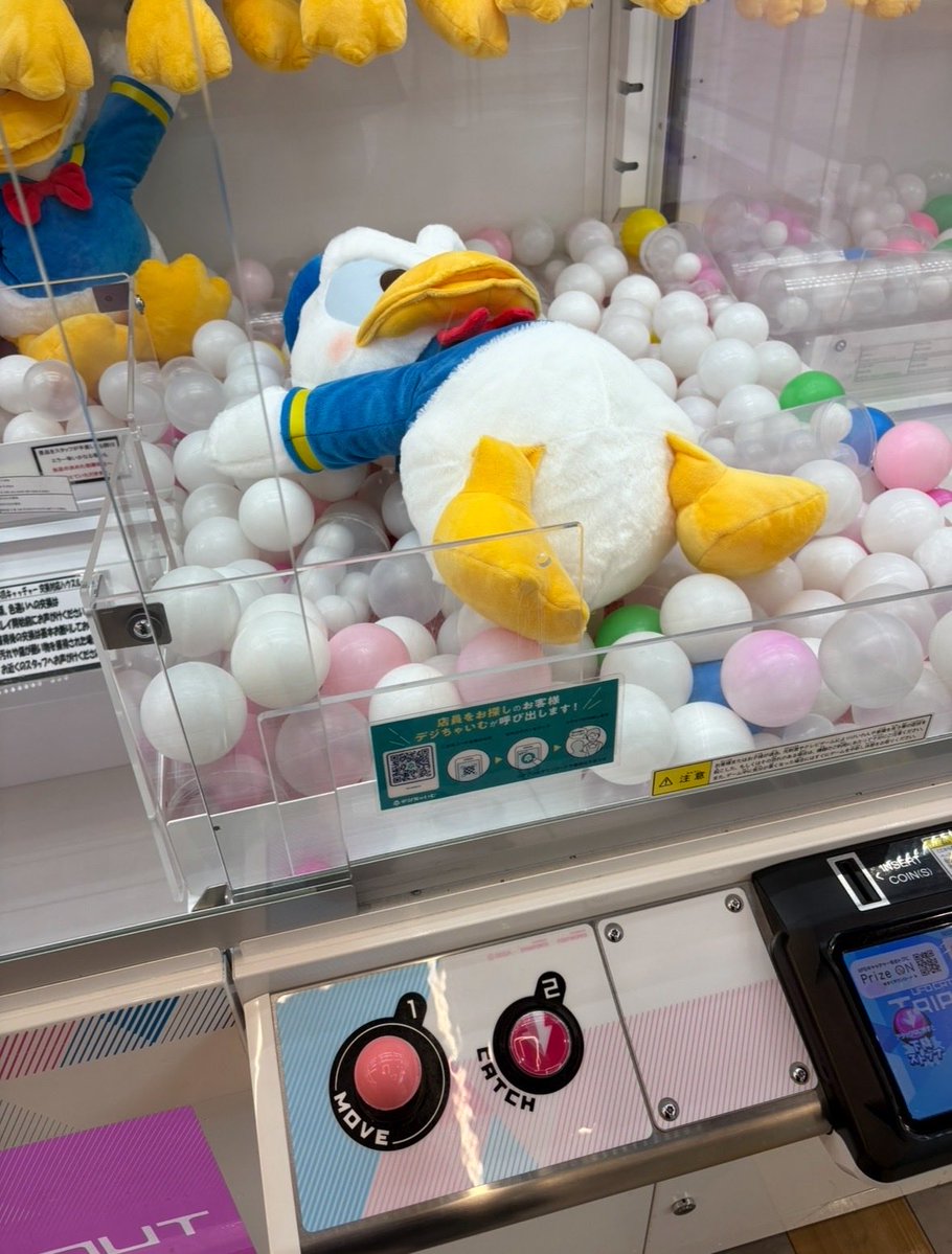 ご案内になります🦦

<a href="/sanshimai0329/">サラRP専用垢˶⚈Ɛ⚈˵</a> 
サラの新リポスト垢になります
今まで彗ちゃんが
RP担当してたけど これからは
本人がになりました🦦
私もリポストはしますが
自分感覚になります(๑◕ ✌️
